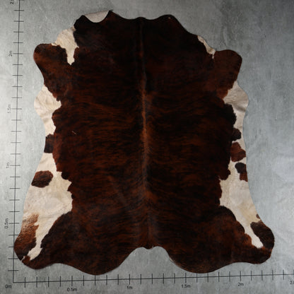 Select Nguni Cowhide - Dark Brown Brindle & Cream | AGS7475 | 2.3m x 2.4m