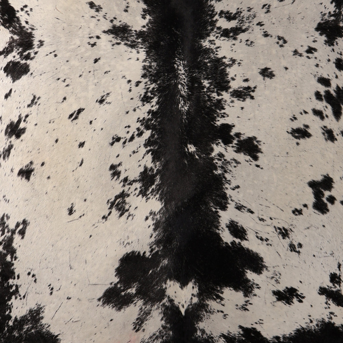 Select Nguni Cowhide - Black & White Speckled | AGS7476 | 1.8m x 2.2m