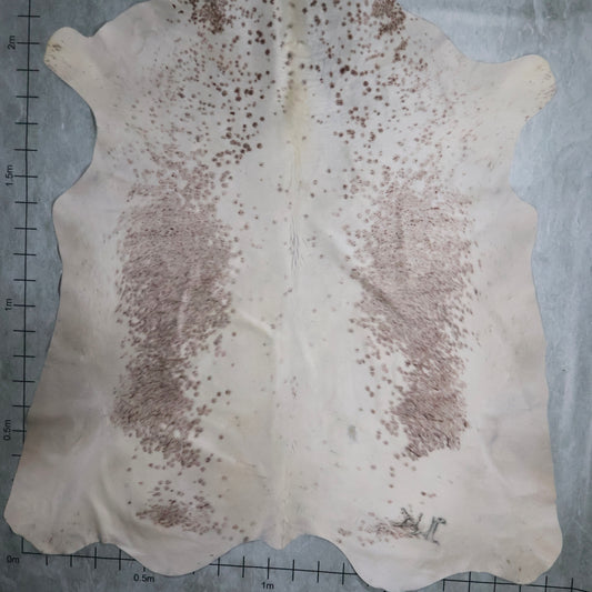 Standard Nguni Hide #BGD4606