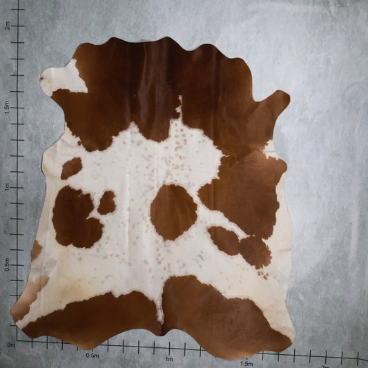 Standard Nguni Hide #BGD4607