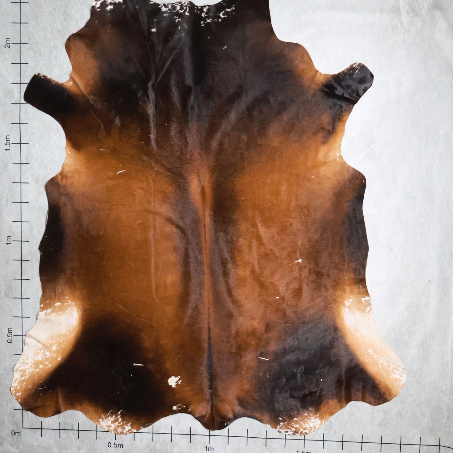 Standard Nguni Hide #BGD4608