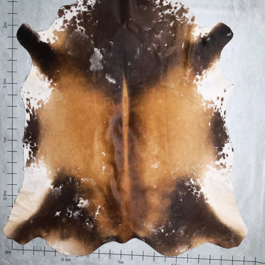 Standard Nguni Hide #BGD4609