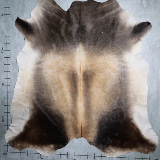 Standard Nguni Hide #BGD4628