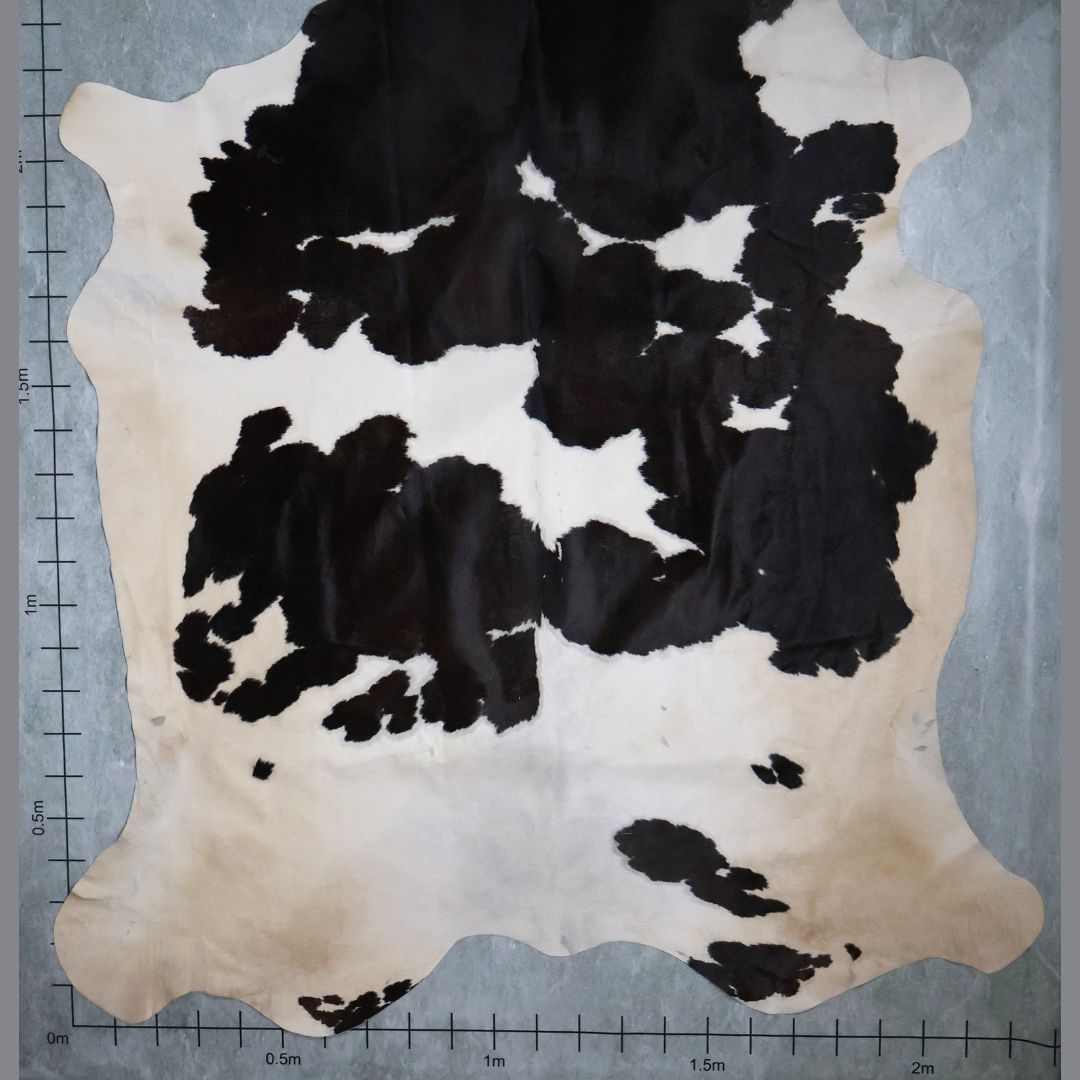 Standard Nguni Hide #BGD4631