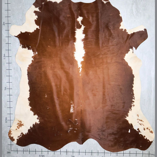 Standard Nguni Hide #BGD4634