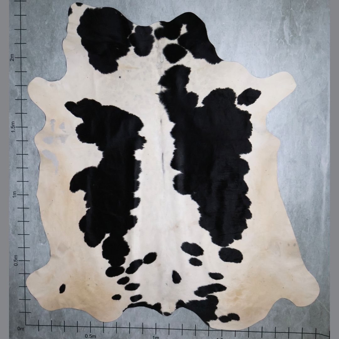Standard Nguni Hide #BGD4640