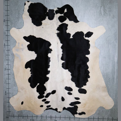 Standard Nguni Hide #BGD4640