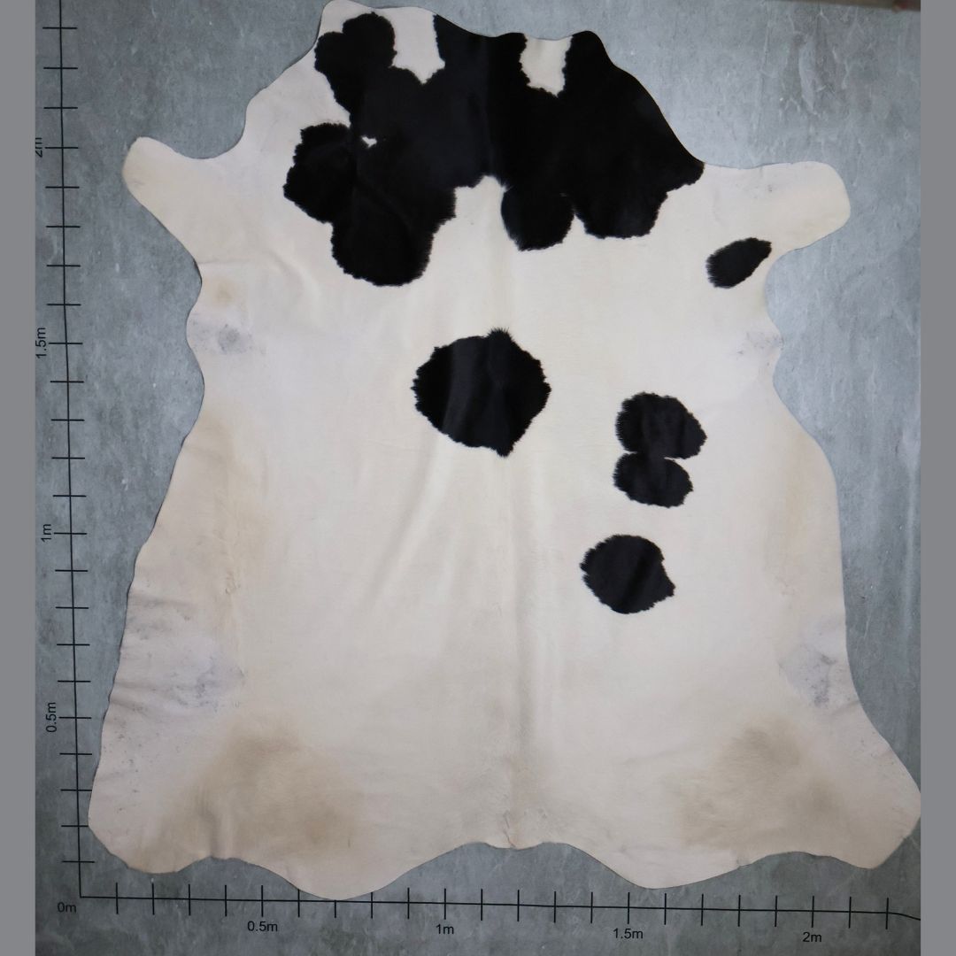 Standard Nguni Hide #BGD4644