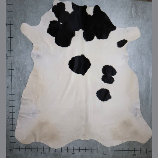Standard Nguni Hide #BGD4644