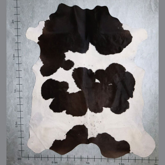 Standard Nguni Hide #BGD4645