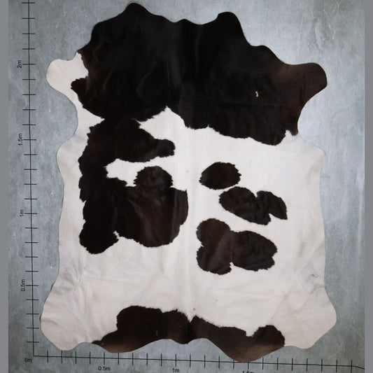 Standard Nguni Hide #BGD4647