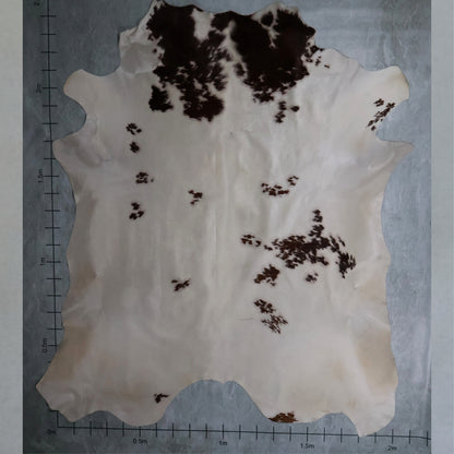 Standard Nguni Hide #BGD4651 (2.0m X 2.4m)
