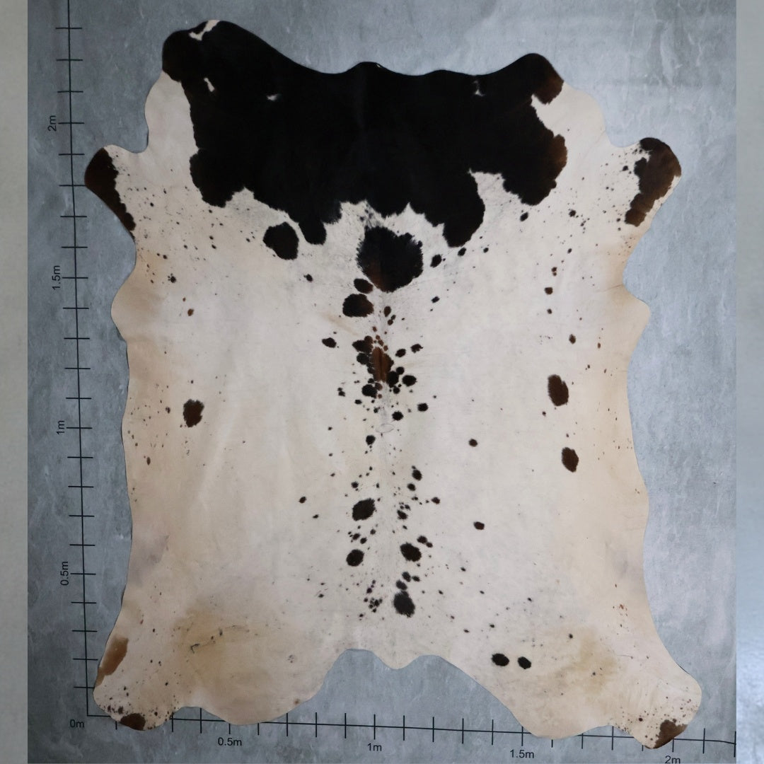 Standard Nguni Hide #BGD4670