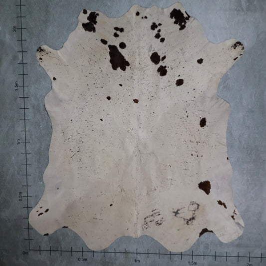 Standard Nguni Hide #BGD4676 (1.9m X 2.2m)