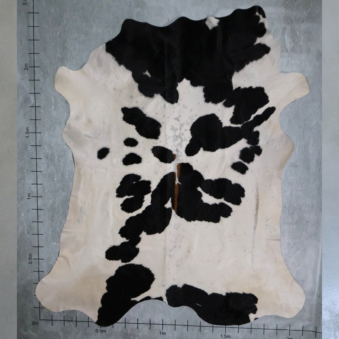 Standard Nguni Hide #BGD4688