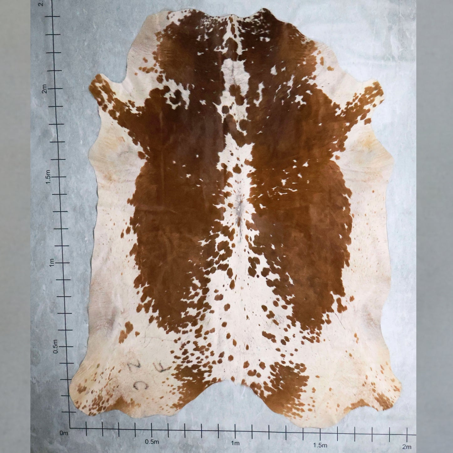 Standard Nguni Hide #BGD4697