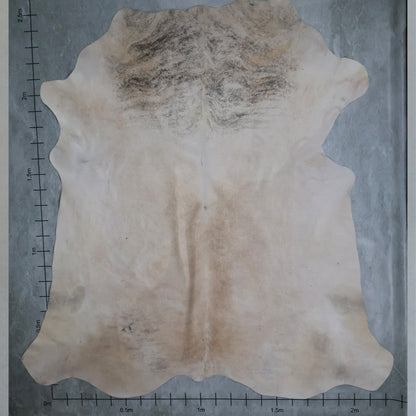 Standard Nguni Hide Brindle #BGD4707 (2.2m X 2.5m)