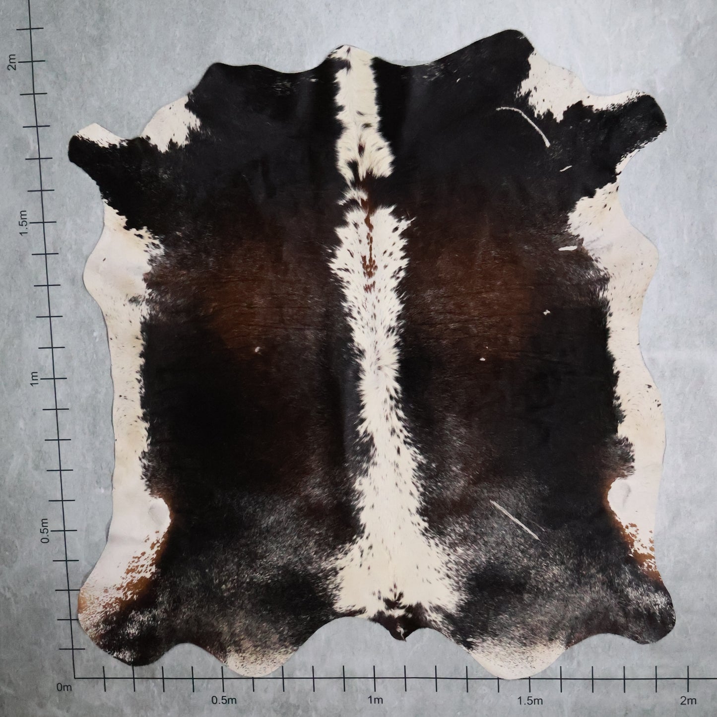 Standard Nguni Hide #BGD4719