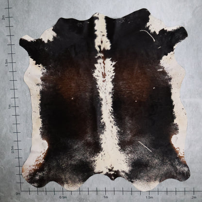 Standard Nguni Hide #BGD4719
