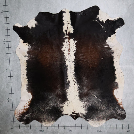 Standard Nguni Hide #BGD4719