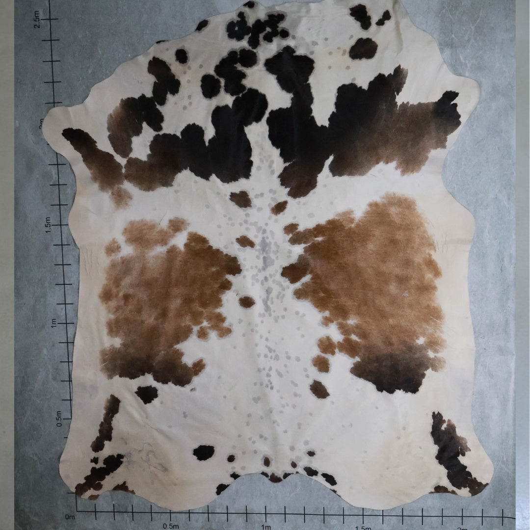 Standard Nguni Hide #BGD4740
