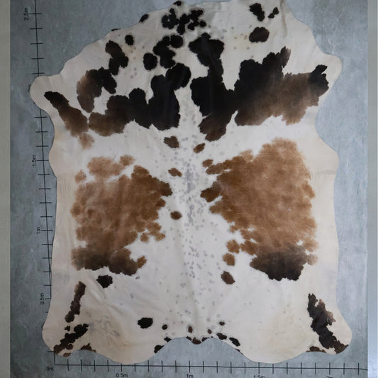 Standard Nguni Hide #BGD4740