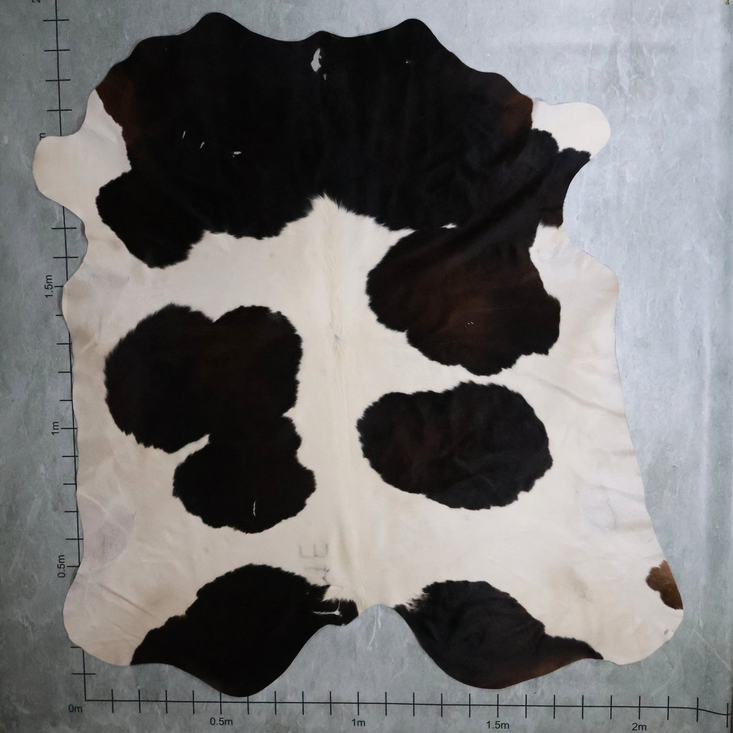 Standard Nguni Hide #BGD4772