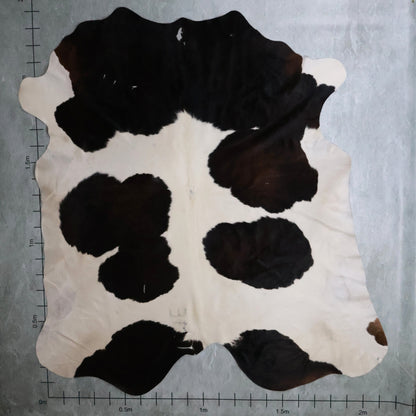 Standard Nguni Hide #BGD4772