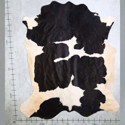 Standard Nguni Hide #BGD4782
