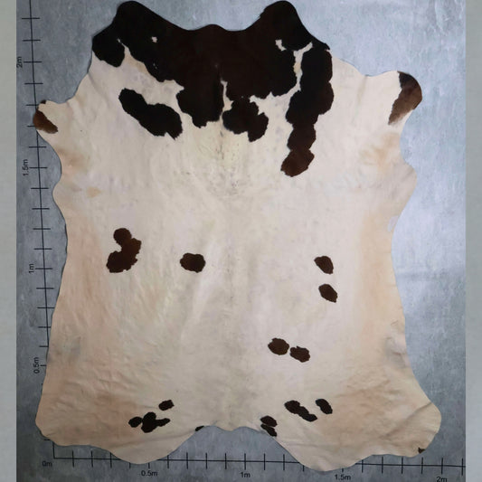 Standard Nguni Hide #BGD4786