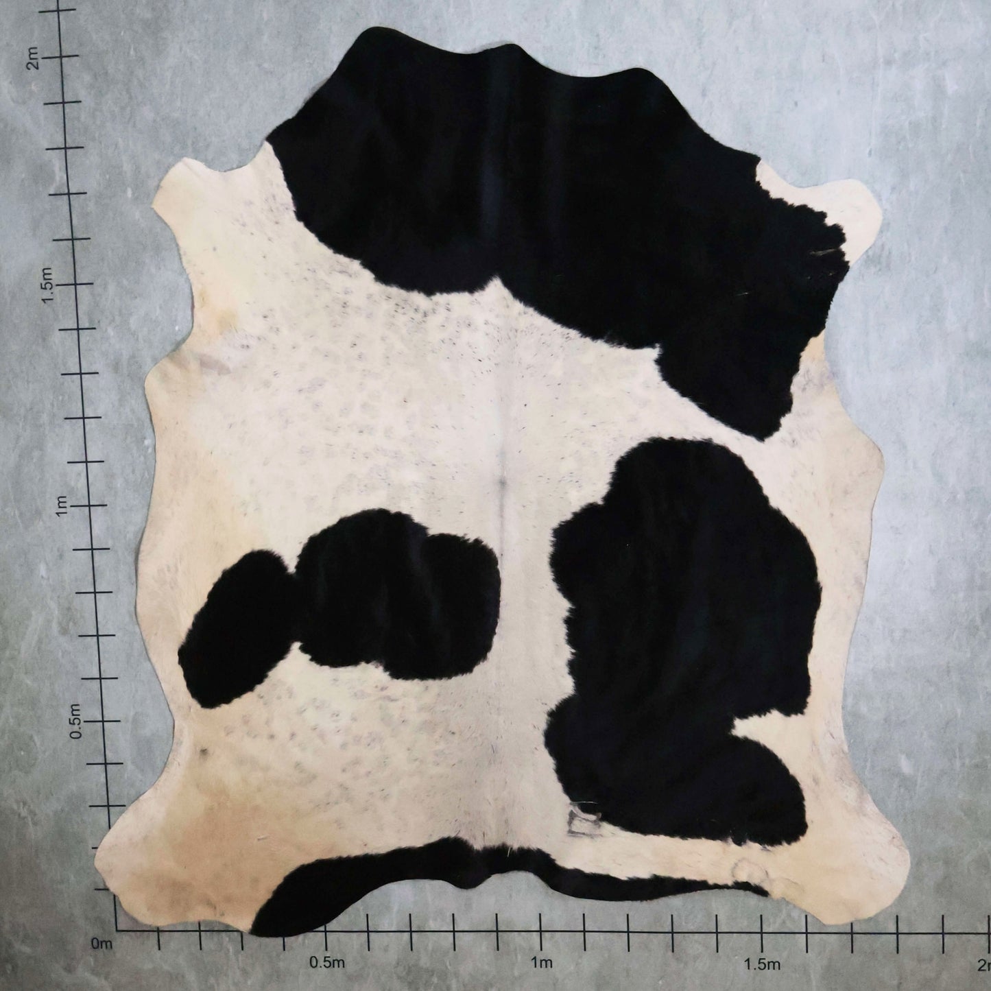 Standard Nguni Hide #BGD4797