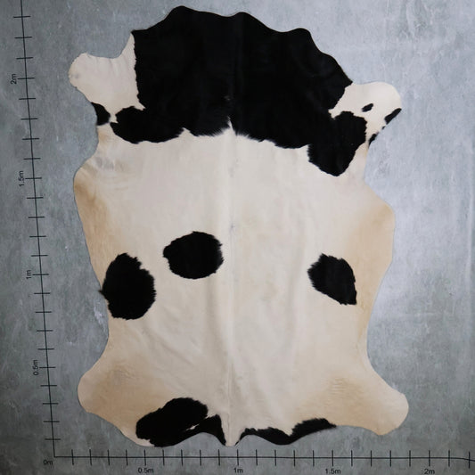 Standard Nguni Hide #BGD4801 (1.9m X 2.3m)
