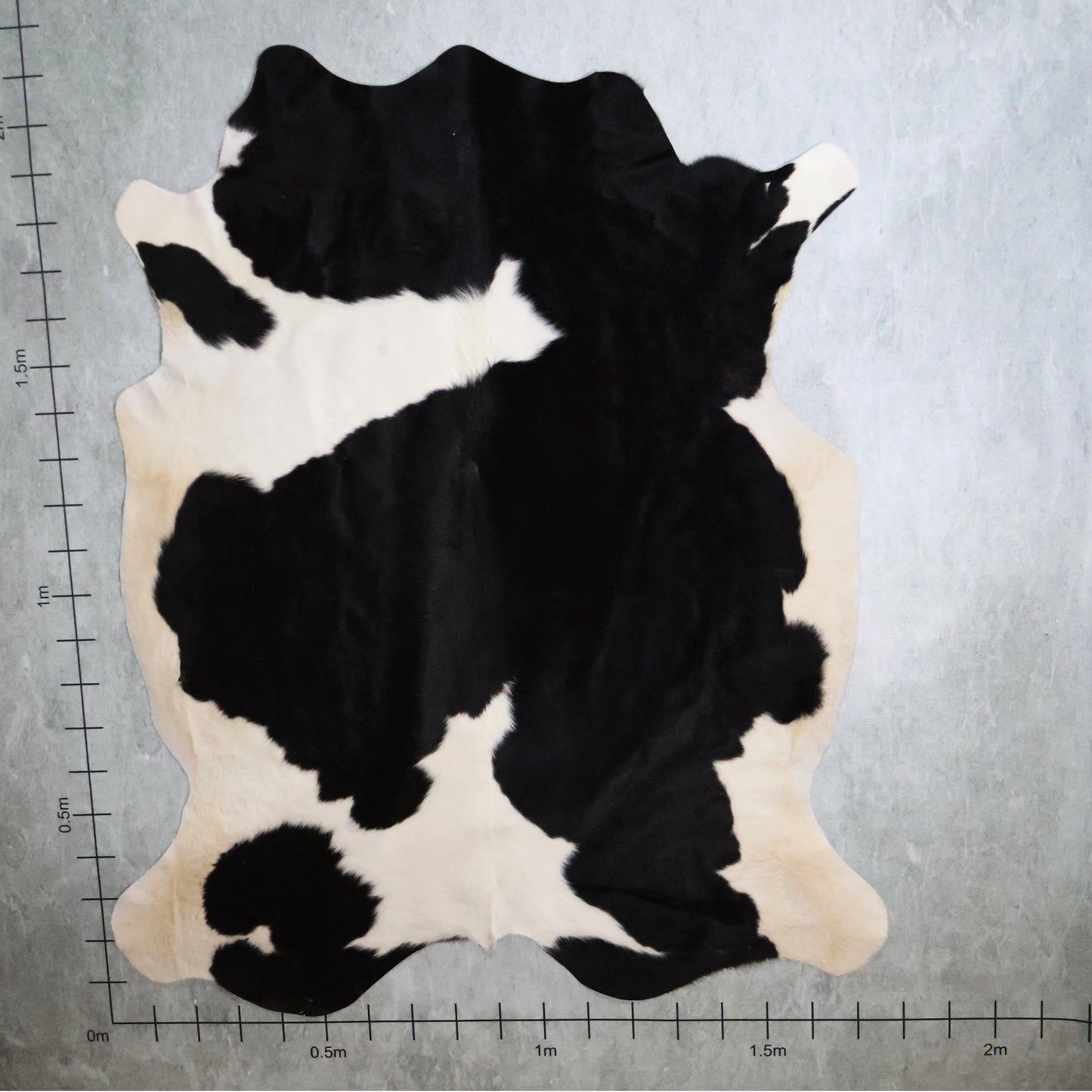 Standard Nguni Hide #BGD4812 (1.7m X 2.1m)