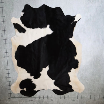 Standard Nguni Hide #BGD4812 (1.7m X 2.1m)