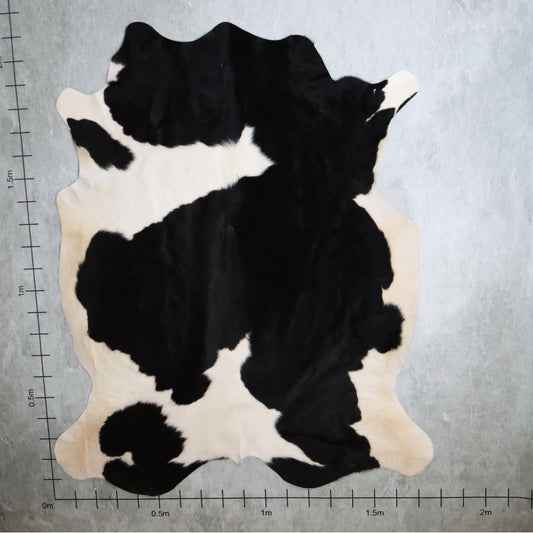 Standard Nguni Hide #BGD4812 (1.7m X 2.1m)