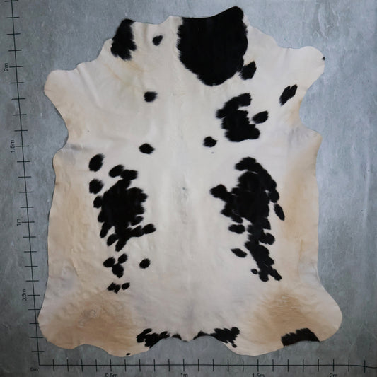 Standard Nguni Hide #BGD4813 (2.0m X 2.3m)