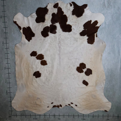 Standard Nguni Hide #BGD4814 (2.0m X 2.2m)