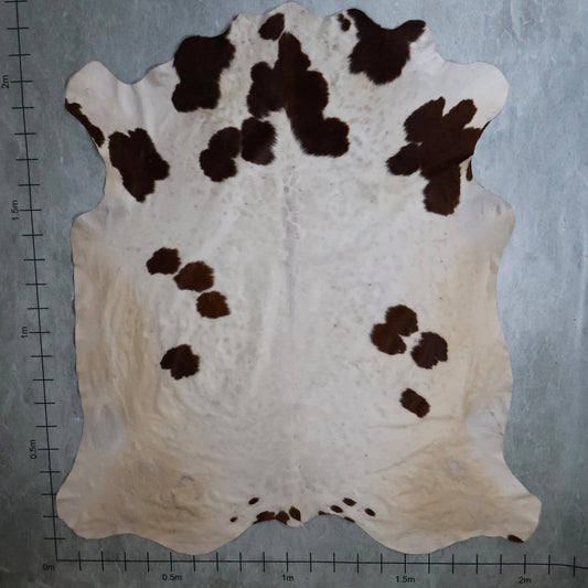 Standard Nguni Hide #BGD4814 (2.0m X 2.2m)