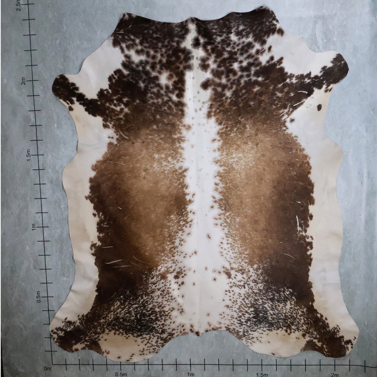 Standard Nguni Hide #BGD4817 (2.1m X 2.4m)