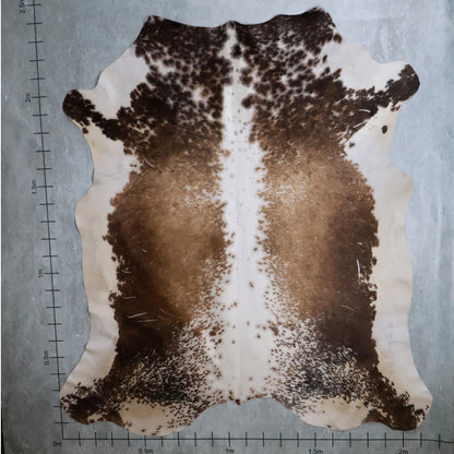 Standard Nguni Hide #BGD4817 (2.1m X 2.4m)