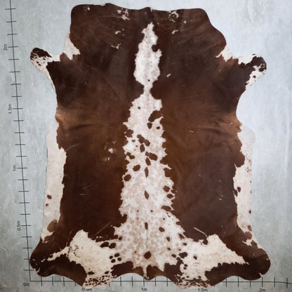 Standard Nguni Hide #BGD4818 (2.1m X 2.3m)
