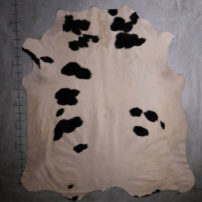 Standard Nguni Hide #BGD4820 (2.2m X 2.1m)