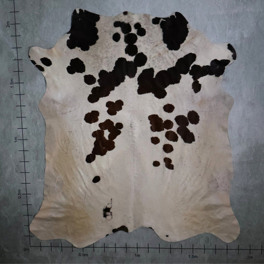 Standard Nguni Hide #BGD4838 (1.9m X 2.1m)