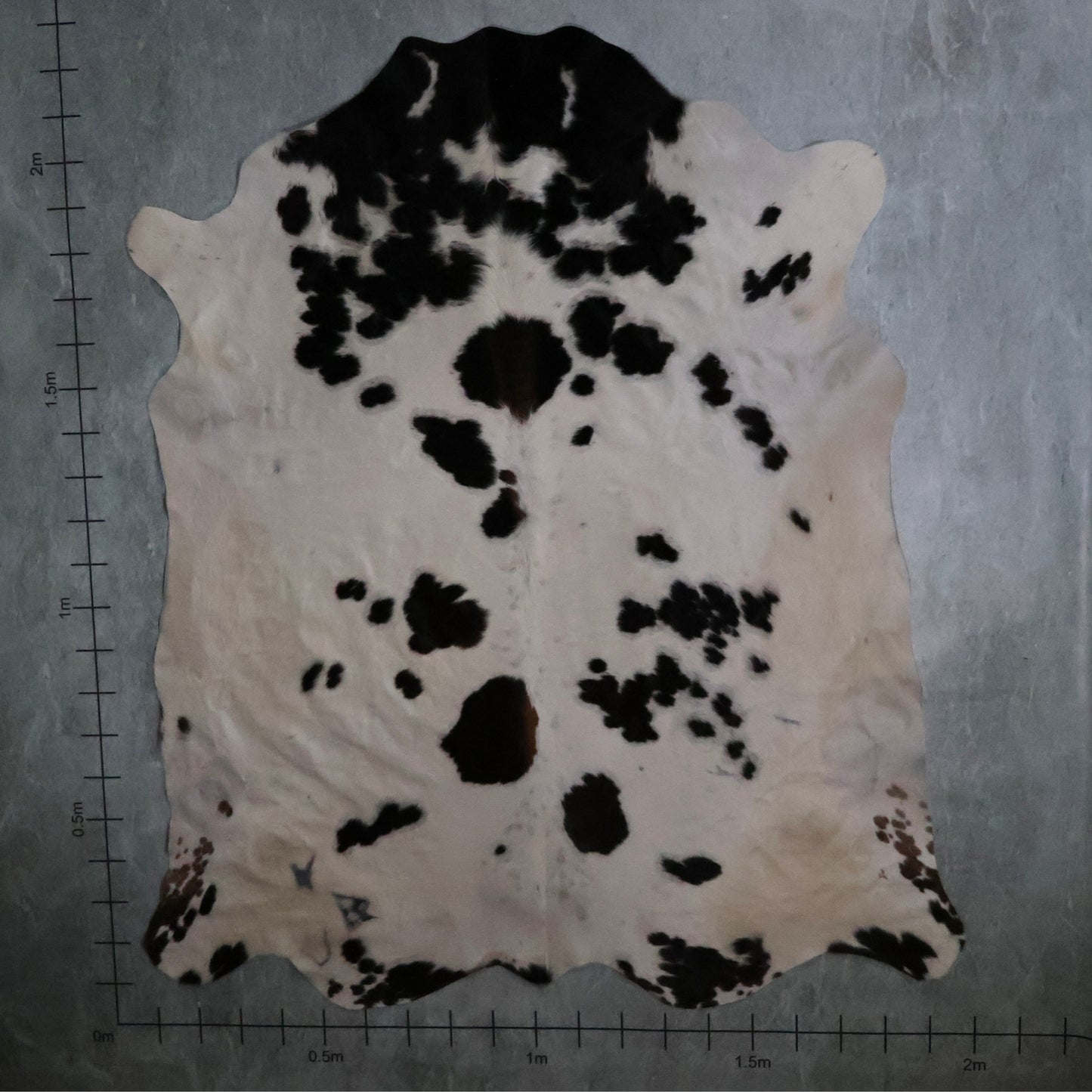 Standard Nguni Hide #BGD4839 (2.0m X 2.2m)
