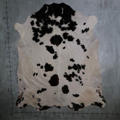 Standard Nguni Hide #BGD4839 (2.0m X 2.2m)