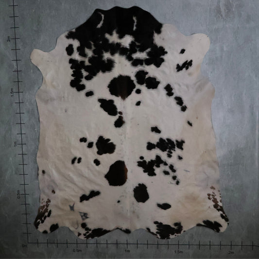 Standard Nguni Hide #BGD4839 (2.0m X 2.2m)