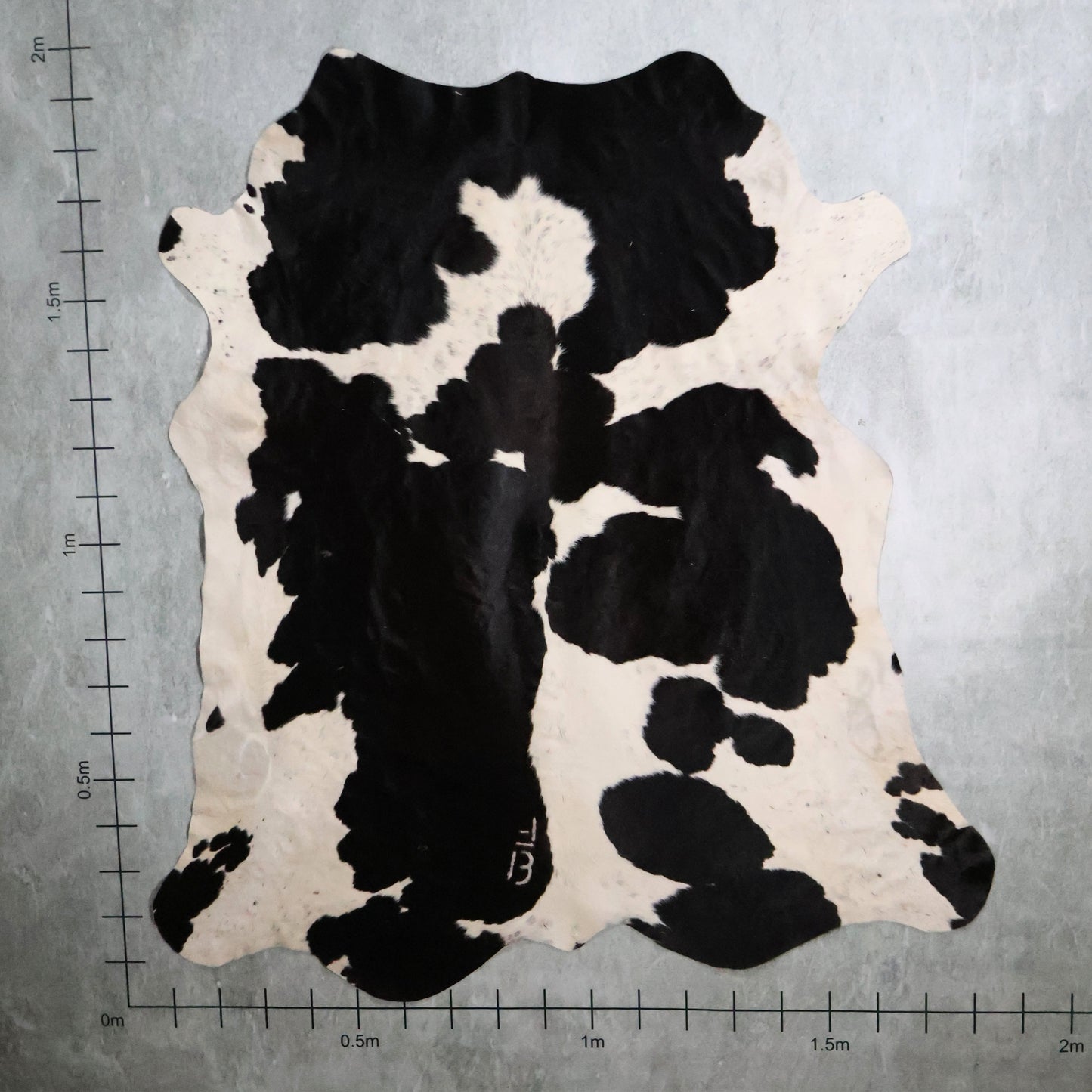 Standard Nguni Hide #BGD4841 (1.8m X 1.9m)