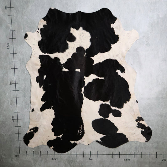 Standard Nguni Hide #BGD4841 (1.8m X 1.9m)