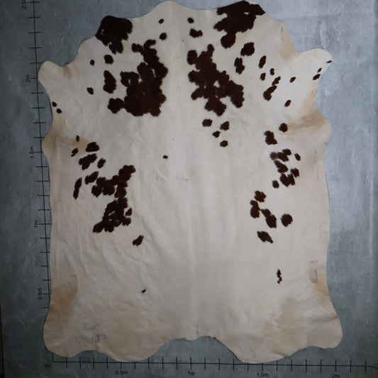 Standard Nguni Hide #BGD4842 (2.0m X 2.5m)