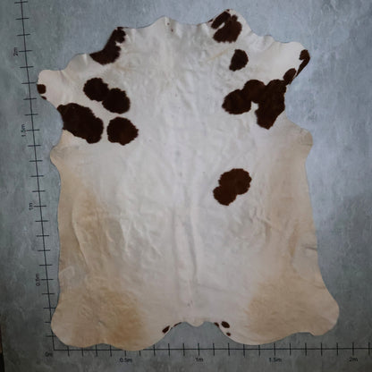 Standard Nguni Hide #BGD4843 (1.9m X 2.1m)